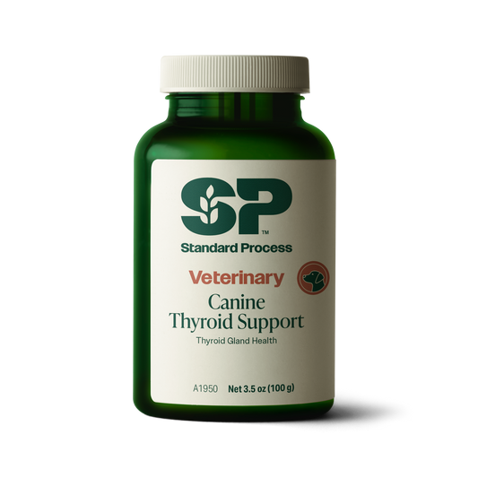 Canine Thyroid Support, 100 g