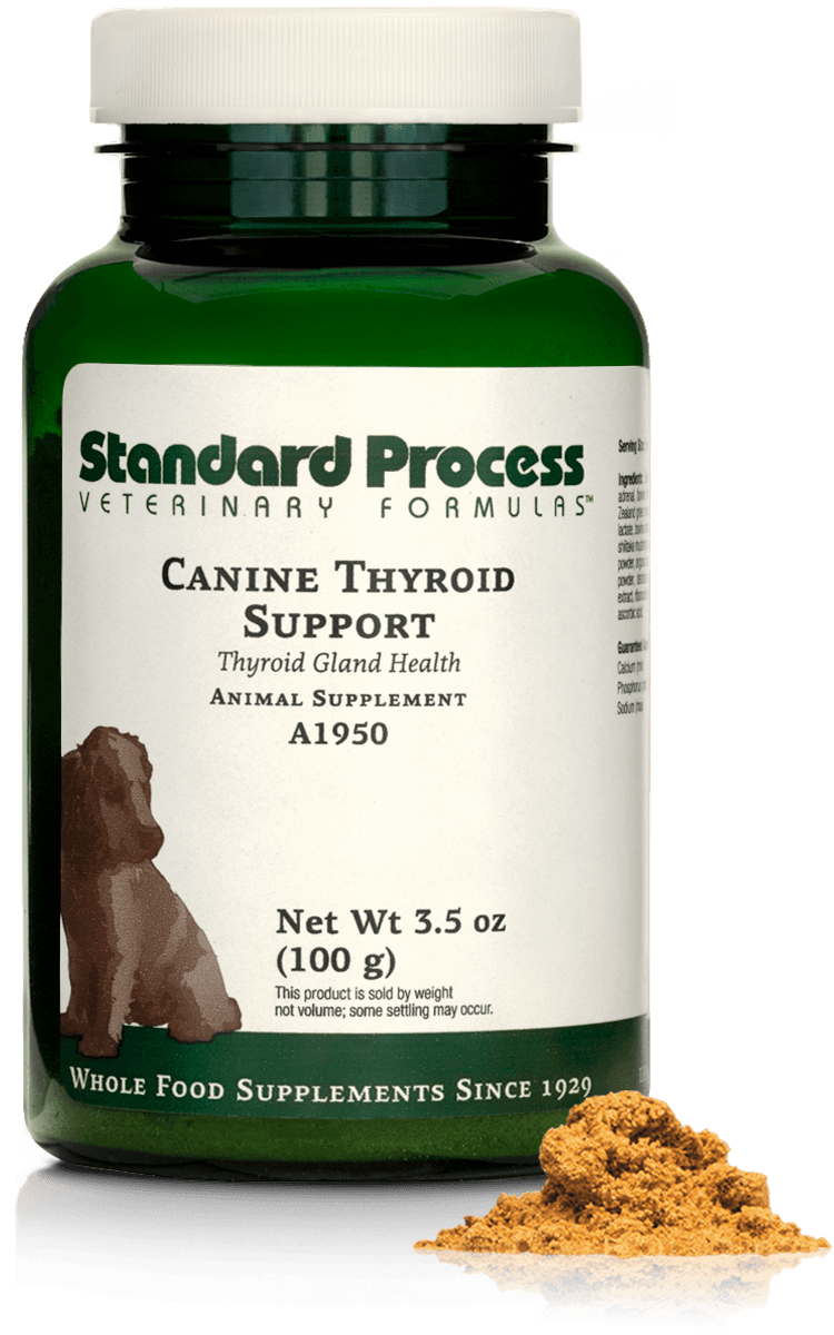 Canine Thyroid Support, 100 g